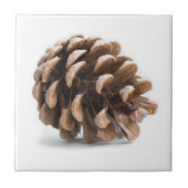 Carreau Pénecone unique (Devant)