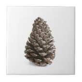 Carreau Pénecone unique (Devant)