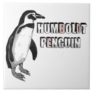 Carreau Penguin de Humboldt