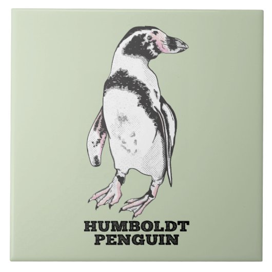 Carreau Penguin de Humboldt (Devant)