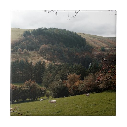 Carreau Pennant Valley Wales (Devant)