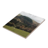 Carreau Pennant Valley Wales (Côté)