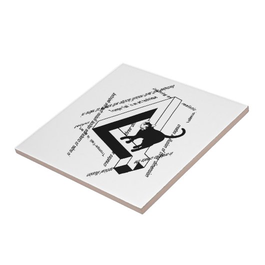 Carreau Penrose cat (Côté)