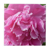 Carreau Peony rose (Devant)