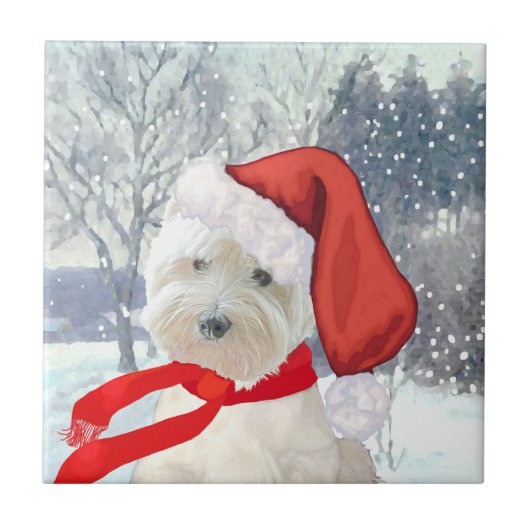 Carreau Père Noël (Devant)