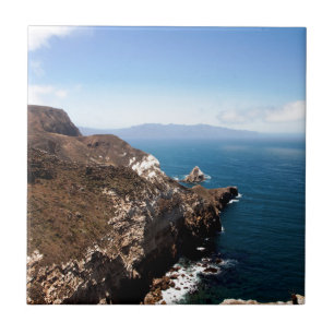 Carreau Père Noël Cruz