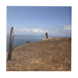 Carreau Père Noël Cruz Island Series 3