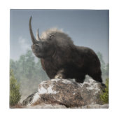 Carreau Période glaciaire dure (Devant)