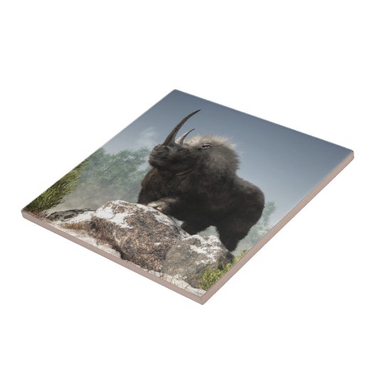 Carreau Période glaciaire dure (Côté)