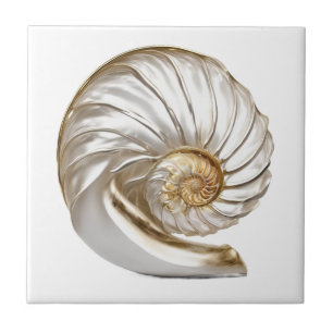 Carreau Perle de coquille de nautile 3D mer plage nautique