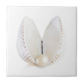 Carreau Perle et coquillage (Devant)