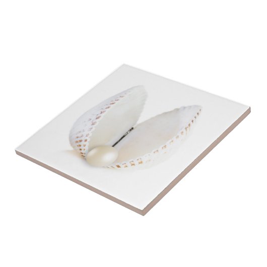 Carreau Perle et coquillage (Côté)