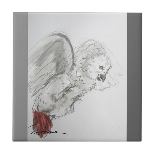 Carreau Perroquet (Devant)