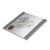 Carreau Perroquet (Côté)