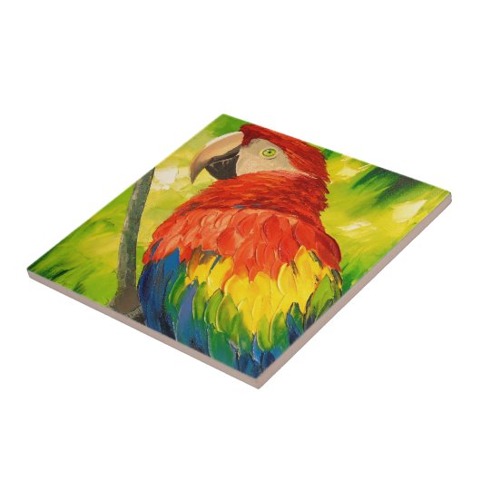 Carreau Perroquet (Côté)