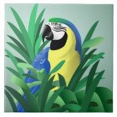 Carreau Perroquet (Devant)