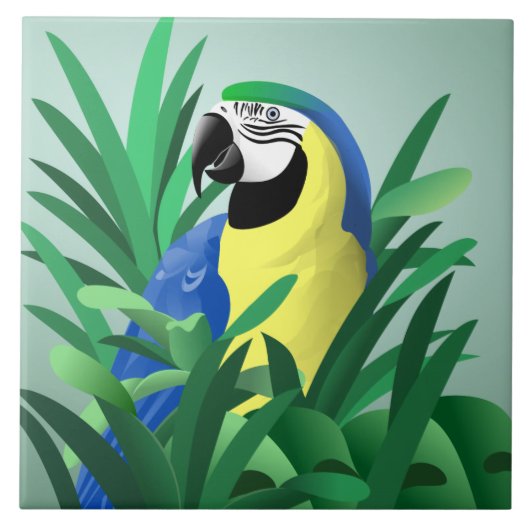 Carreau Perroquet (Devant)