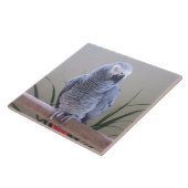 Carreau Perroquet de gris africain (Côté)