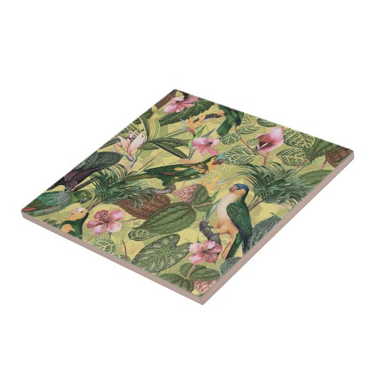 Carreau Perroquets colorés anciens Motif de la jungle trop (Côté)