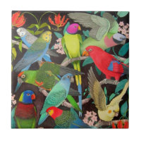 Perroquets de la tuile du monde II