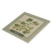 Carreau Persil Herbe Cuisine Vert Relief Faux (Côté)