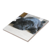 Carreau Personnaliser le Carlin noir mignon Nom d'accessoi (Côté)