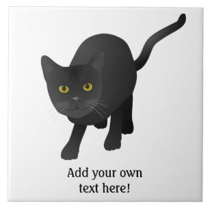 Carreaux Dessin Chat En Ceramique Zazzle Be