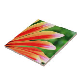 Carreau Pétales de marguerite (Côté)