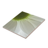 Carreau Pétales de marguerite blanche (Côté)