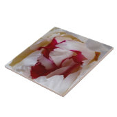 Carreau Pétales de pivoines (Côté)