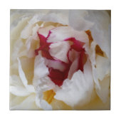 Carreau Pétales de pivoines (Devant)