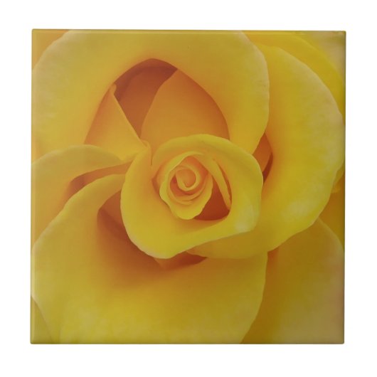 Carreau Pétales de rose jaune romantiques (Devant)