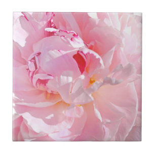 Carreau pétales roses