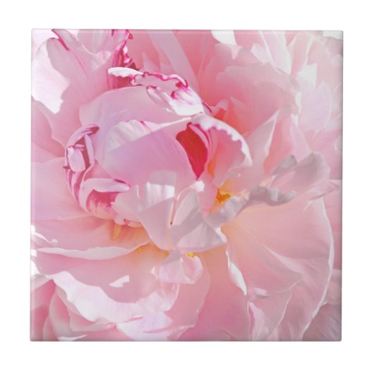 Carreau pétales roses (Devant)