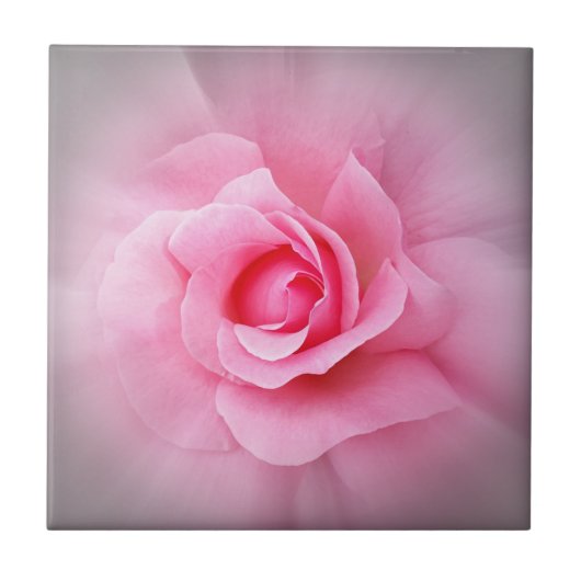 Carreau Pétales roses (Devant)