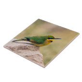 Carreau Petit Bee-Eater (Côté)