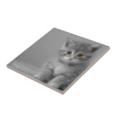 Carreau Petit chaton doux (Côté)