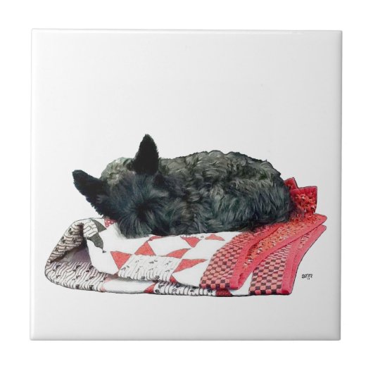 Carreau Petit chien Scottie endormi (Devant)