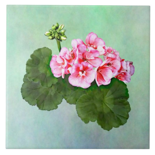 Carreau Petit Géranium rose (Devant)