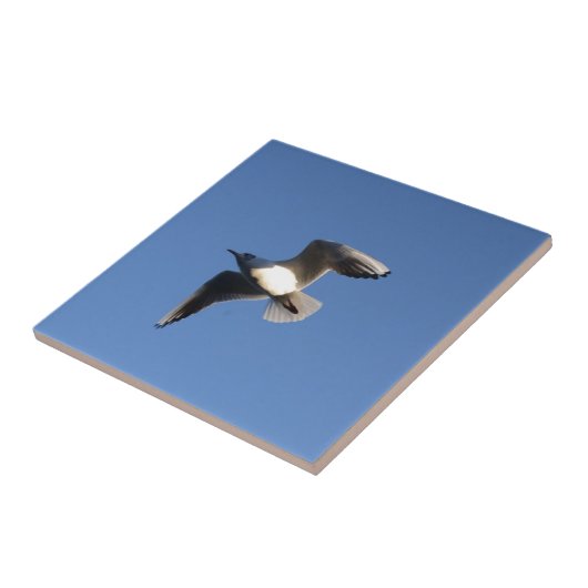 Carreau Petit Goût (Côté)