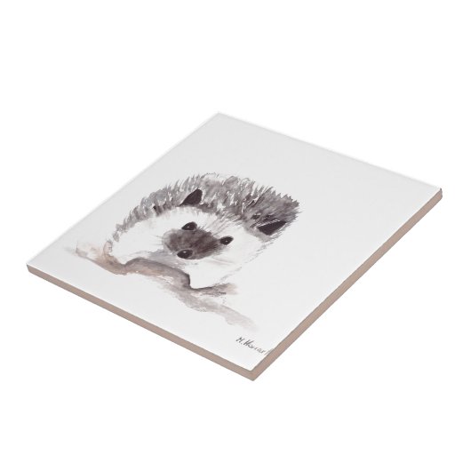 Carreau petit hérisson rustique cuisine vintage (Côté)