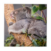 Carreau Petit koala doux (Devant)