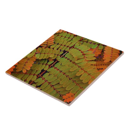 Carreau Petit Motif Feuille (Côté)