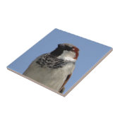 Carreau Petit oiseau mignon (Côté)