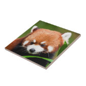 Carreau Petit Panda Rouge (Côté)