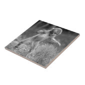 Carreau Petit singe génial (Côté)