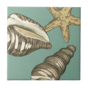 Carreau Petit trio Shell Turquoise