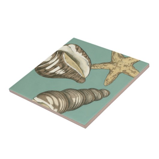 Carreau Petit trio Shell Turquoise (Côté)