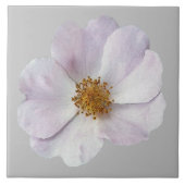 Carreau Petite fleur rose (Devant)