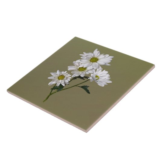 Carreau Petite marguerite levrette (Côté)